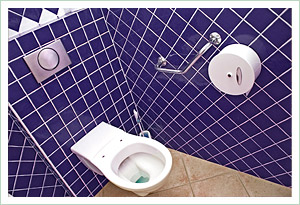 ABS - A Bathroom Solution disabled toilet